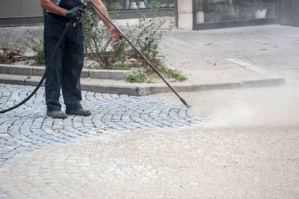 Best Sidewalk and Walkway Cleaning  in Bristol, FL